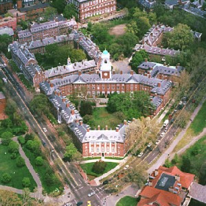 Harvard University