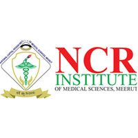 logo national capital region institute of medical sciences meerut